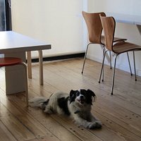 Casa de Estudios para Artistas (por dentro)