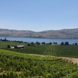 Benson Vineyards Estate Winery (Manson) - All You Need to Know BEFORE ...