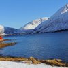 The 6 Best Tours in Kvaloya, Northern Norway