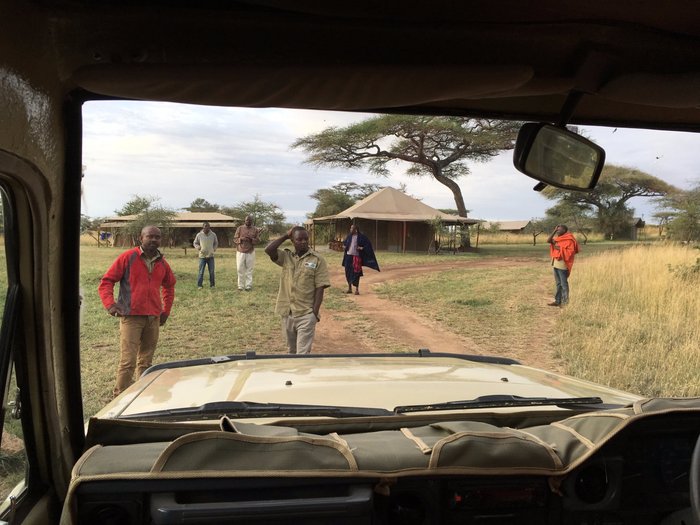 Kisura Serengeti Tented Camp, Get the true flavours of wilderness and  experience an awe-inspiring trip that you can truly cherish for a lifetime  at the Kisura Serengeti Camp