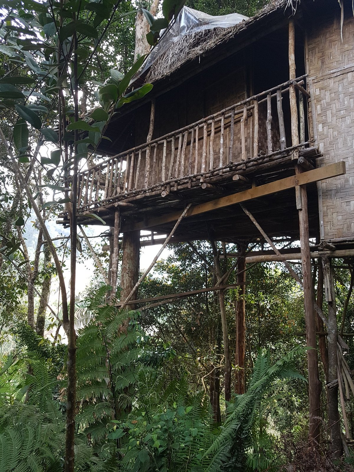 TERRA TREE HOUSE (Бринчанг) - отзывы и фото - Tripadvisor