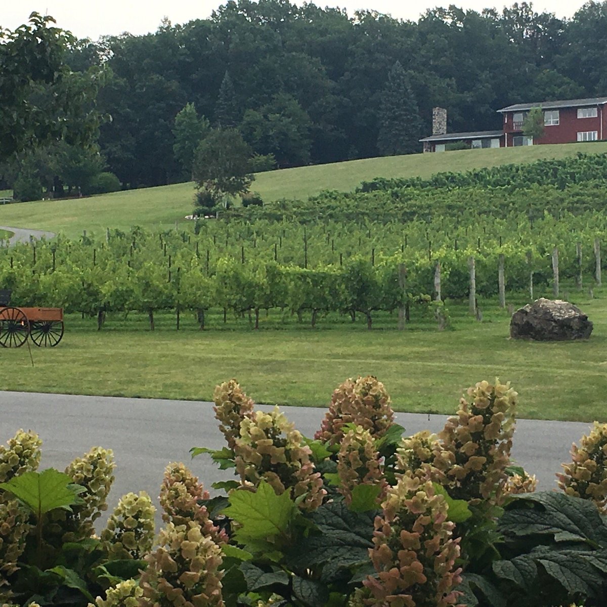 Clover Hill Vineyards & Winery (Breinigsville) - 2022 All You Need to ...