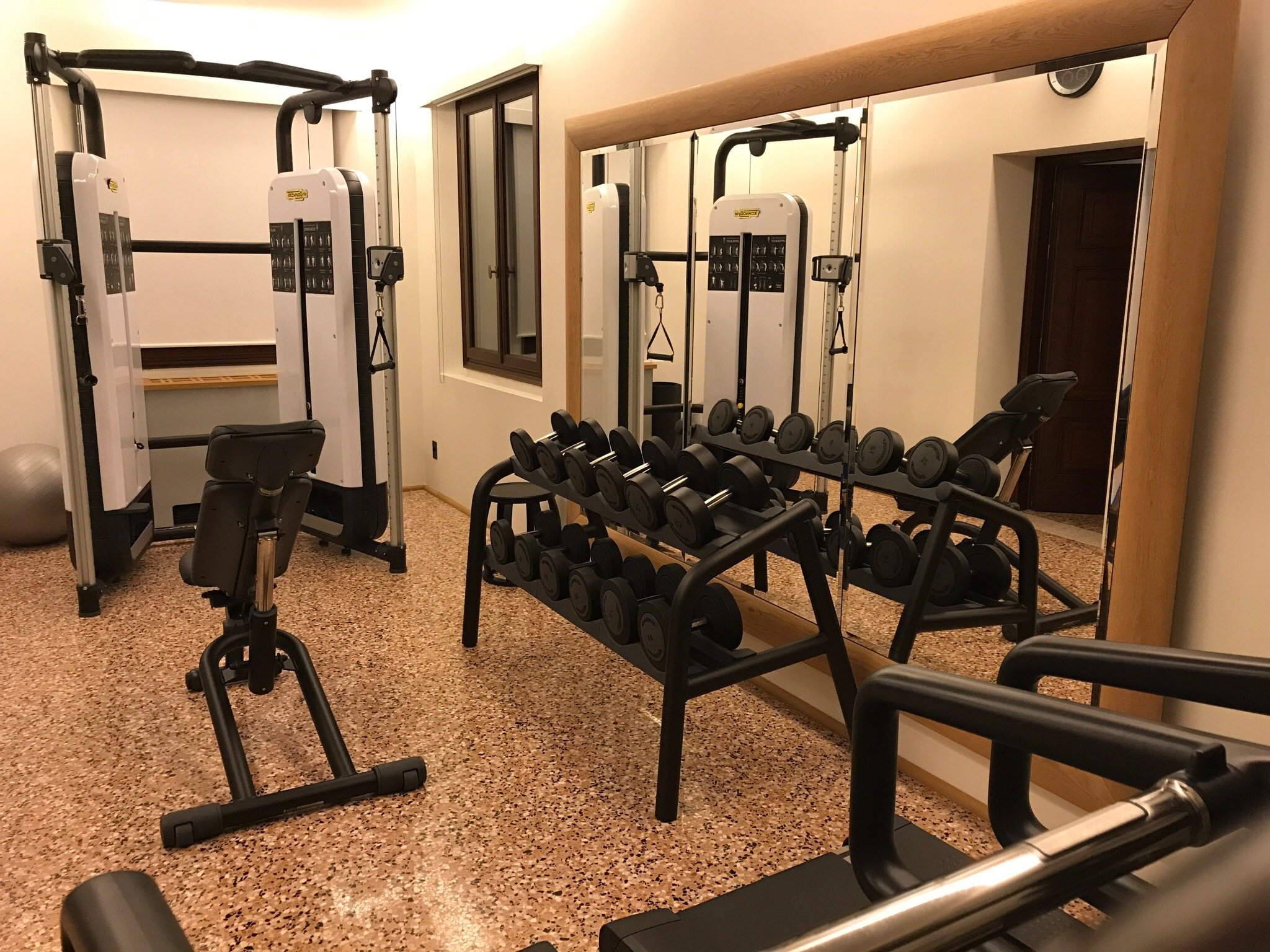 Venice gym store