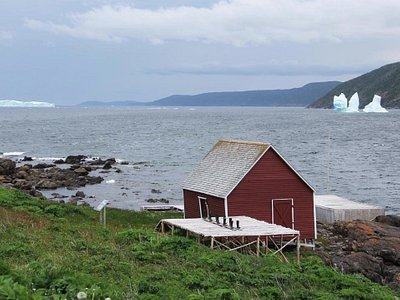 Bide Arm, Newfoundland and 2023: Best to Visit Tripadvisor