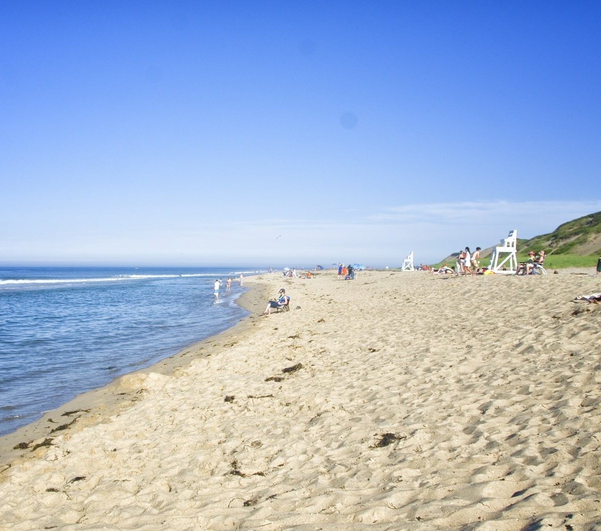 are dogs allowed at head of the meadow beach