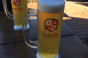 Bebidas