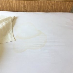 Urine stained mattress cover