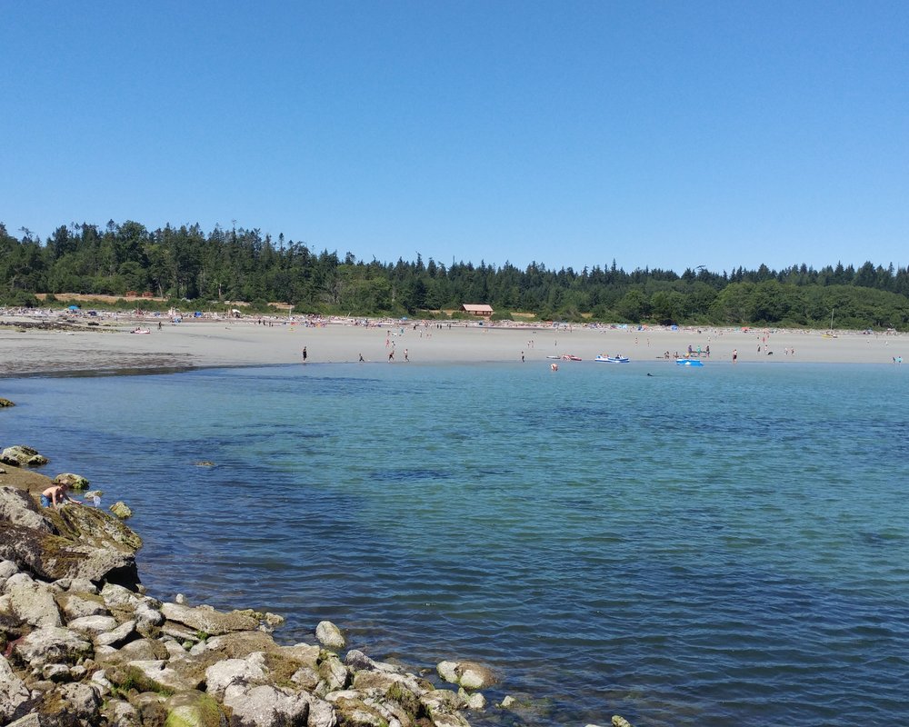 THE 15 BEST Things to Do in Hornby Island (2024)