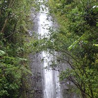 Falls in June