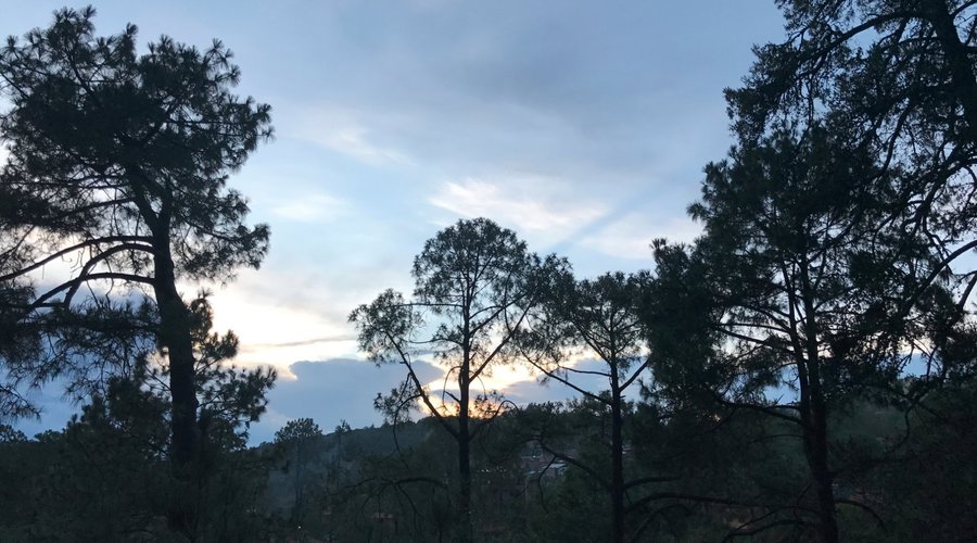 Vistas desde la terraza de la cabaña hacia el poniente.