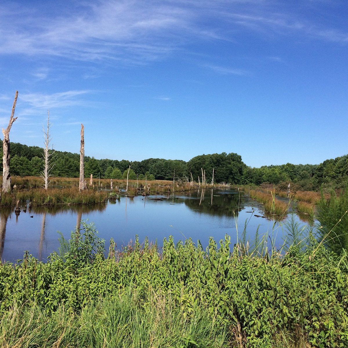 Caledon State Park - All You Need to Know BEFORE You Go (2024)