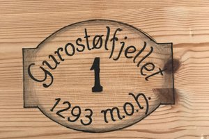 Reisende