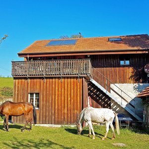 getlstd_property_photo
