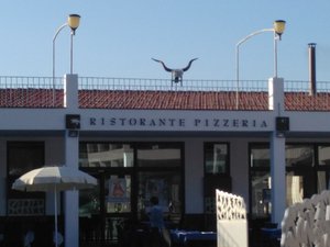 Ristorazione