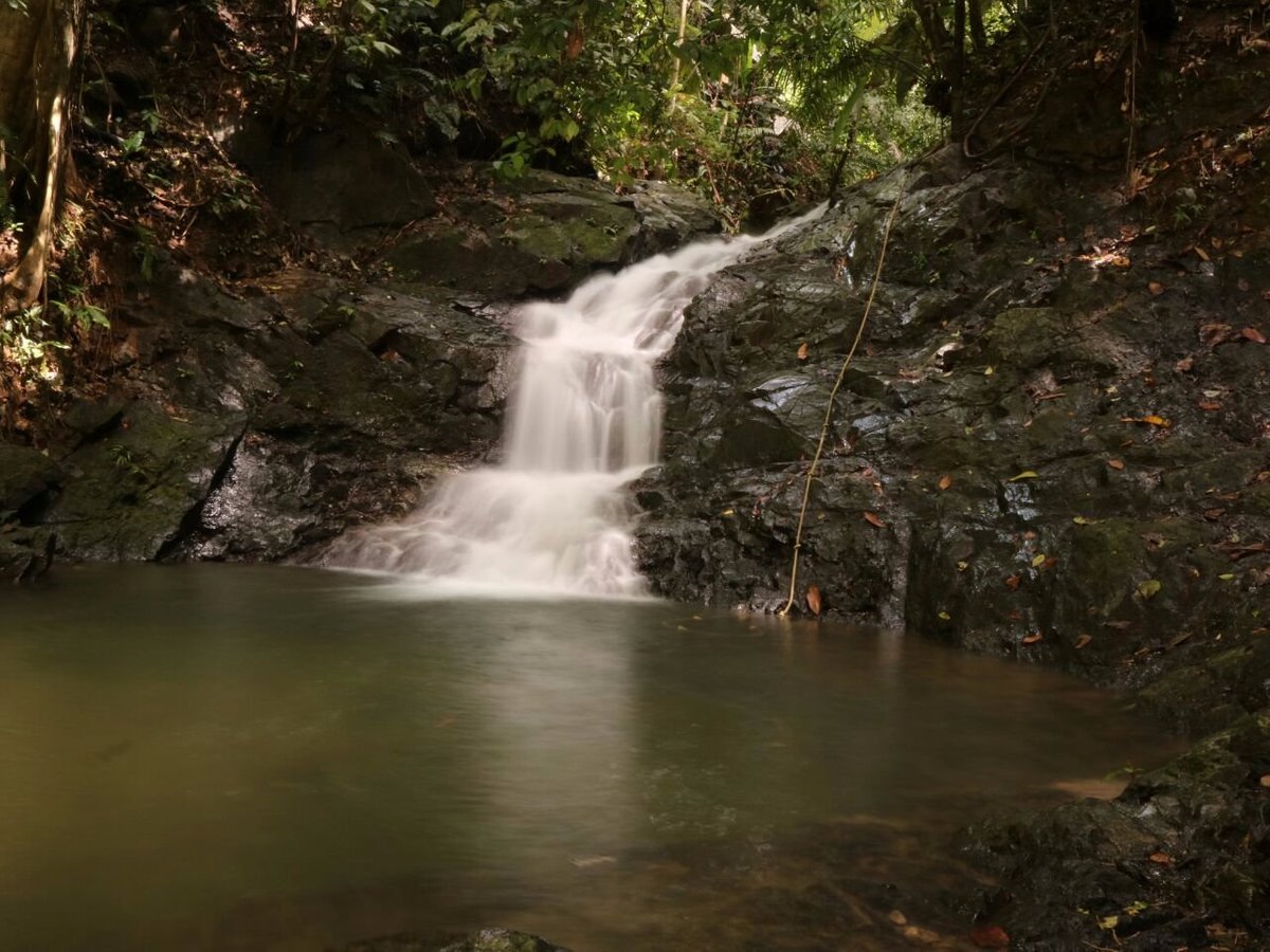 Reserva Natural El Cielo (Capurgana) - All You Need to Know BEFORE You Go