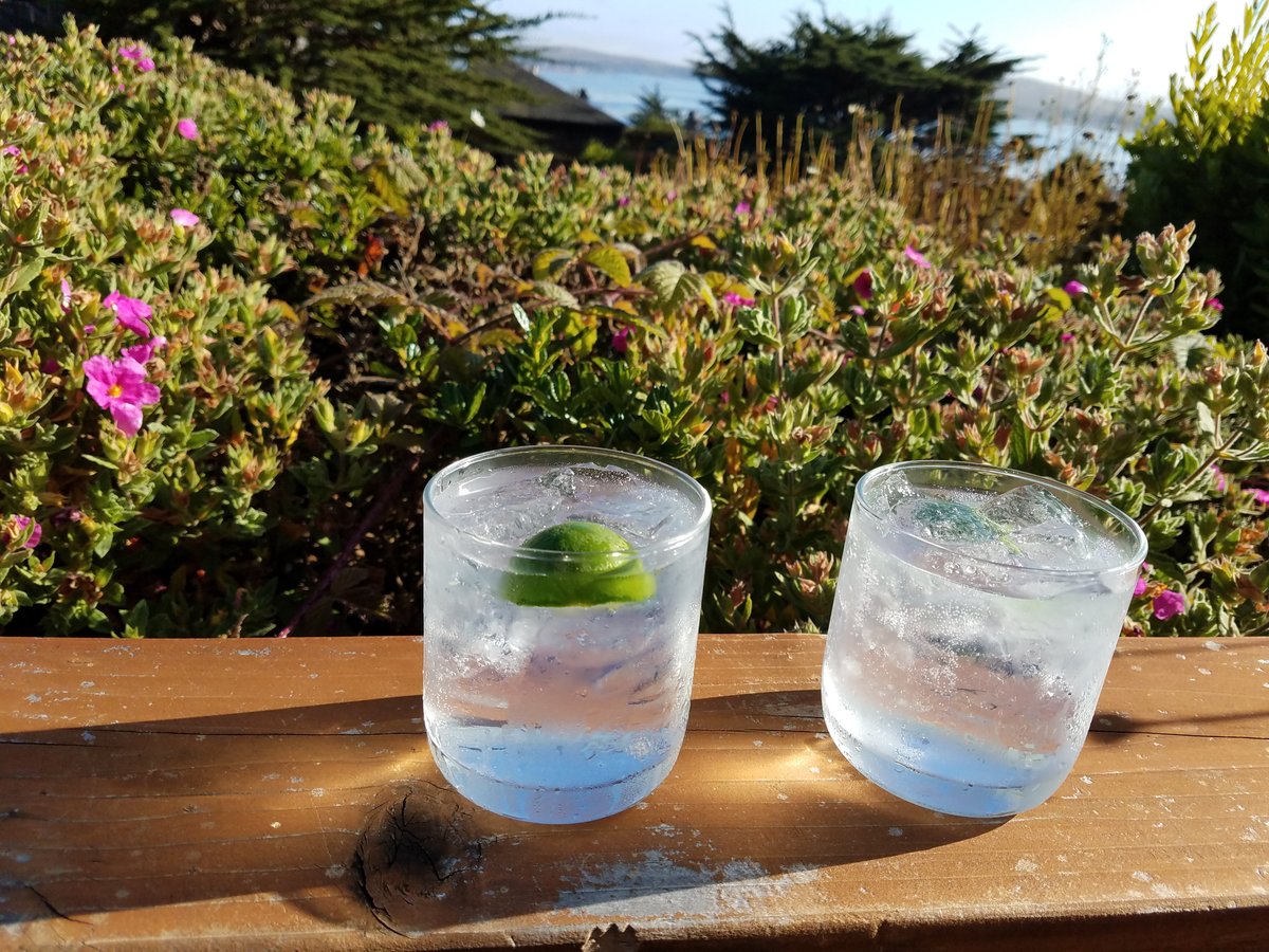 THE INN AT THE TIDES (Bodega Bay, CA): opiniones y precios