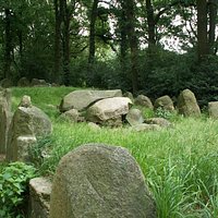 Langgraf D43 Schimmeres