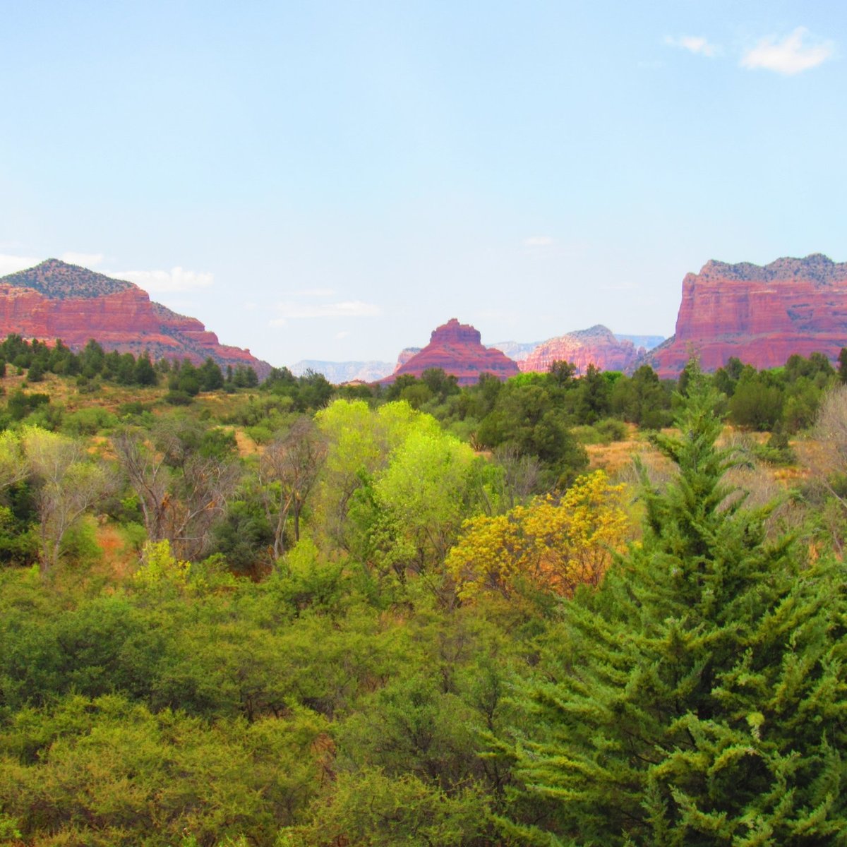 Sedona Village Welcome Center Village Of Oak Creek 2022 Qué Saber Antes De Ir Lo Más 4542