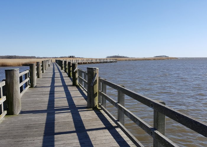 Boardwalk at DEEP Marine, Old Lyme