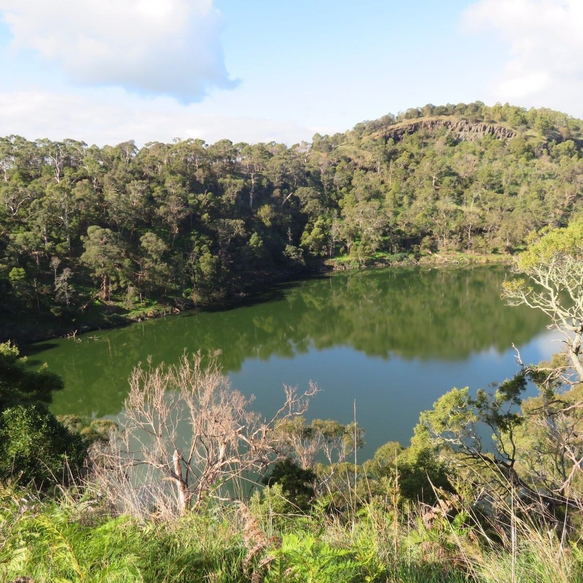 Mount Eccles National Park (Macarthur): All You Need to Know