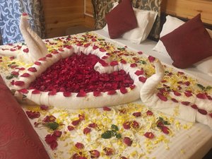Room & Suite