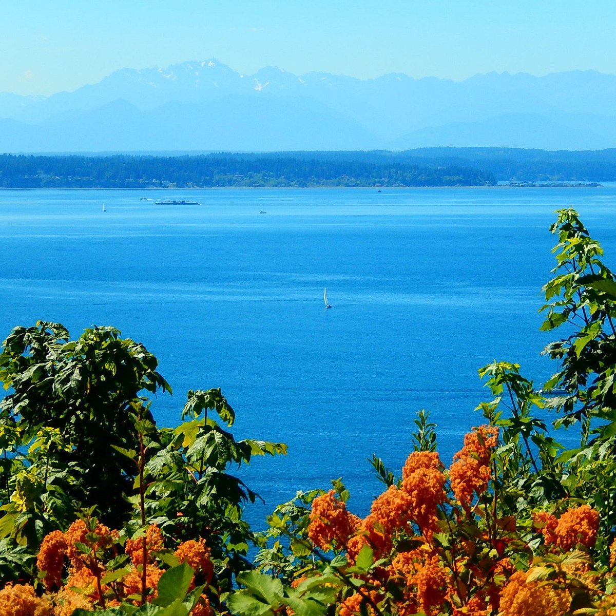 Sunset Hill Park Seattle ATUALIZADO 2023 O Que Saber Antes De Ir sunset-hill-park-seattle-atualizado-2023-o-que-saber-antes-de-ir