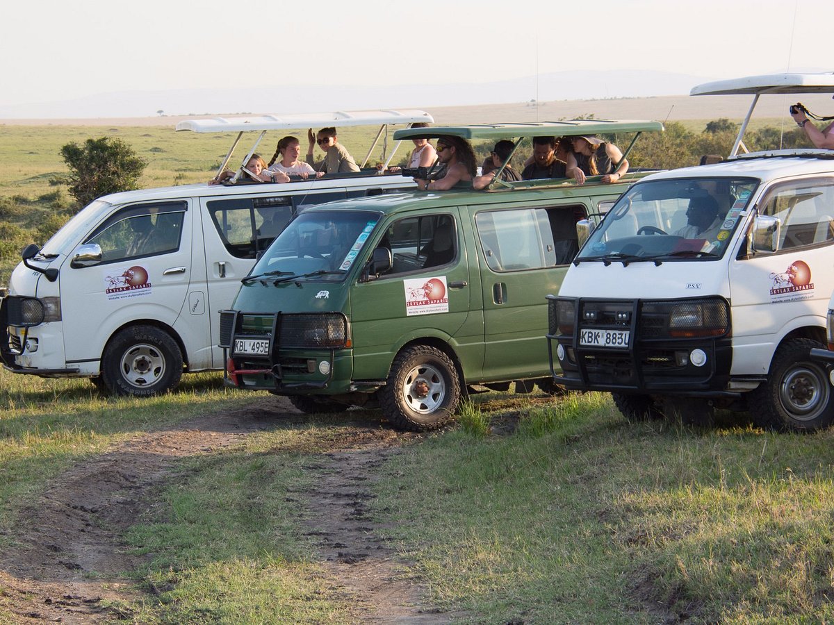 skylax tours and safaris