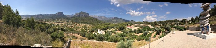 Imagen 3 de Bodega Castell Miquel