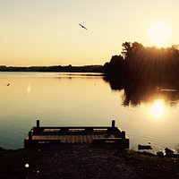Etang du Vignoble