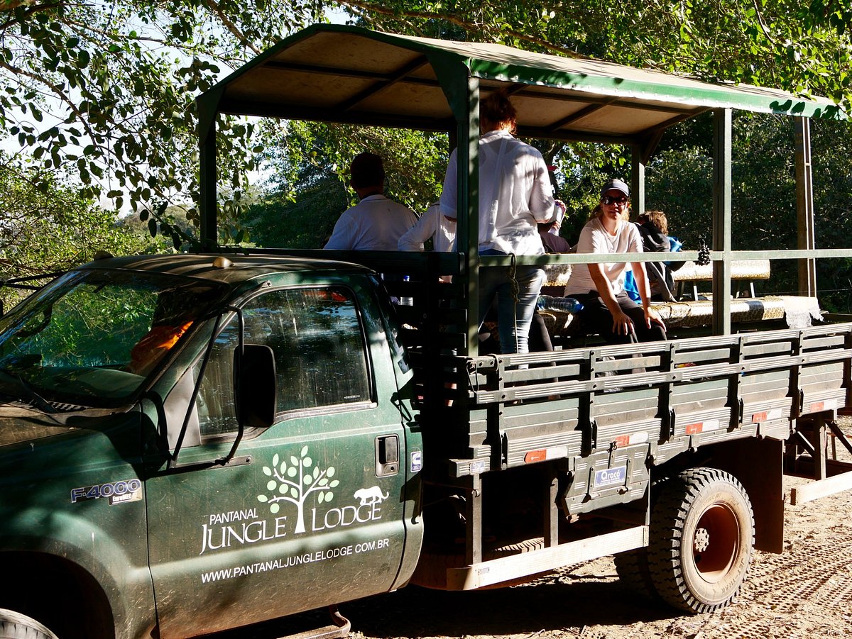 PANTANAL JUNGLE LODGE (Corumba) - отзывы, фото и сравнение цен - Tripadvisor