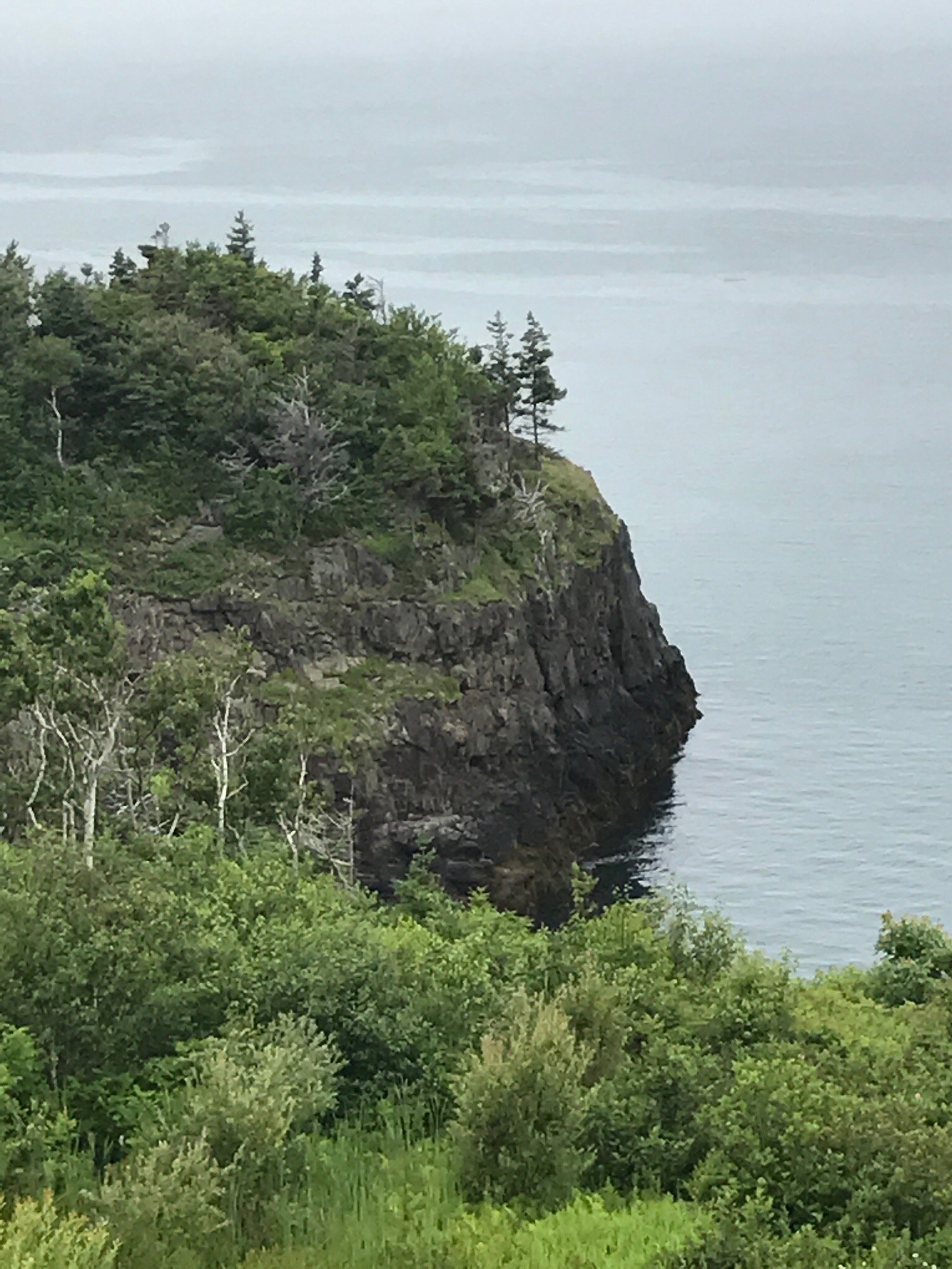 CLIFFSIDE B & B (Digby, Canadá): Opiniones Y Fotos Del B&b