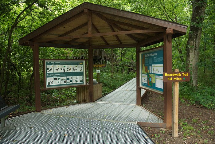 The boardwalk allows visitors to explore the park's unique landscape.