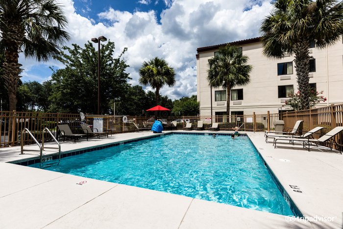 RED ROOF PLUS + GAINESVILLE - Updated 2024 Prices & Hotel Reviews (FL)