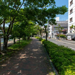 Street at the Ryokan Sansui Hiroshima