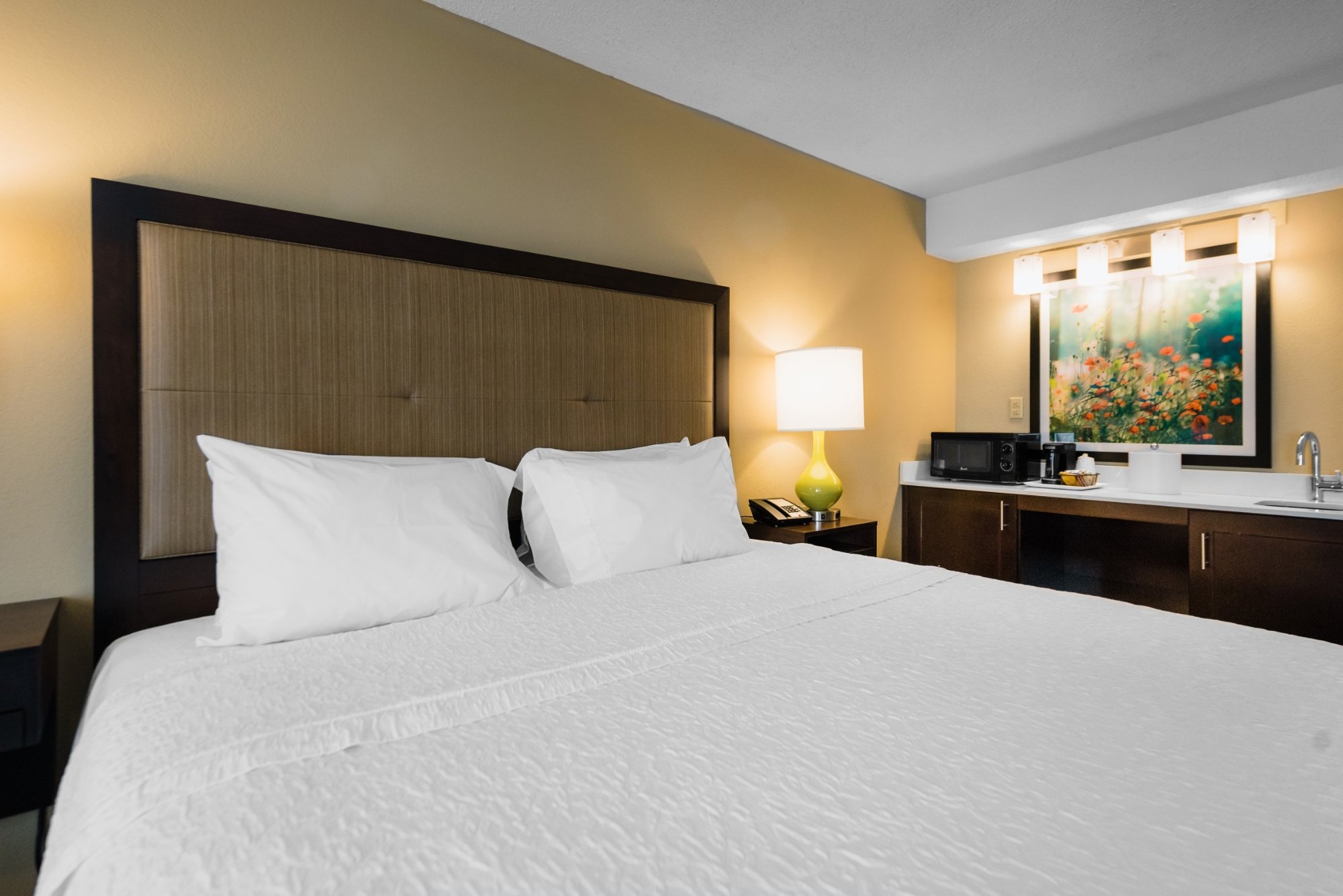 Hampton Inn Meridian Rooms: Pictures & Reviews - Tripadvisor