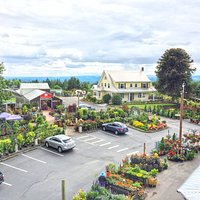 Overlooking the Cafe & Nursery
