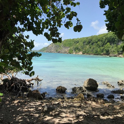 THE 10 BEST Guadeloupe Beaches (Updated 2024) - Tripadvisor