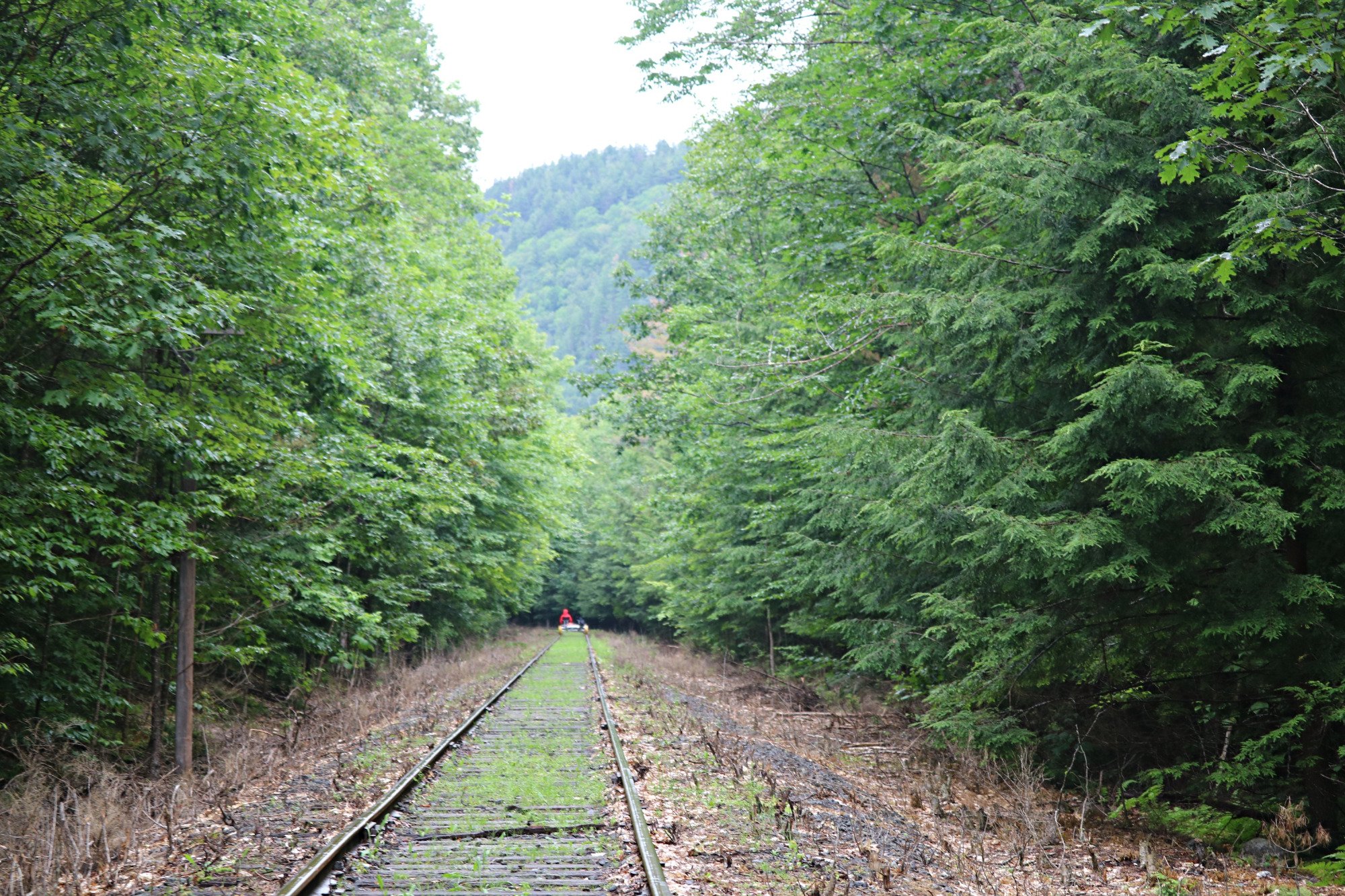 THE 15 BEST Things To Do In Adirondacks 2024 With Photos Tripadvisor   The Rail Trail Note The 