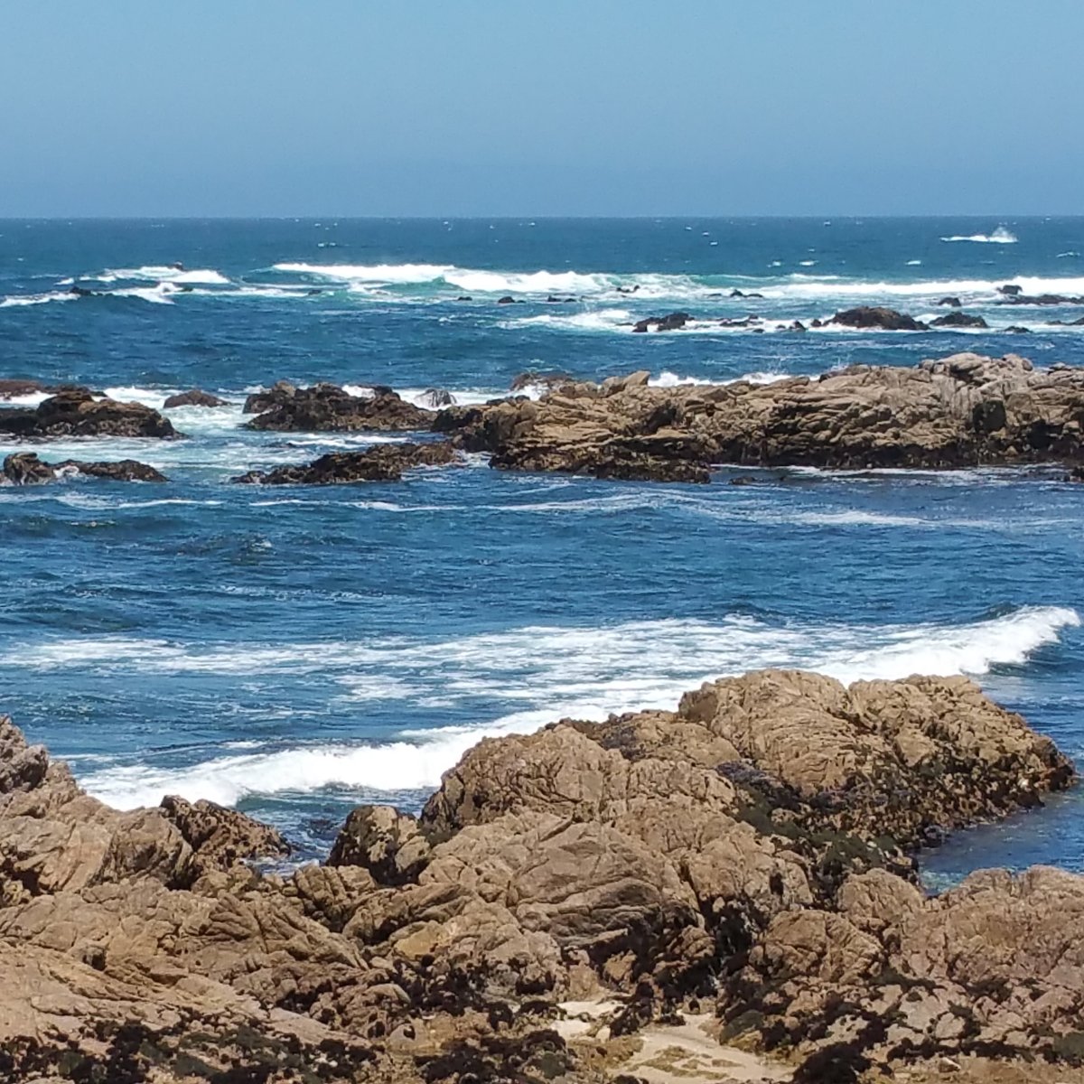 Pacific Grove Oceanview Boulevard - All You Need to Know BEFORE You Go