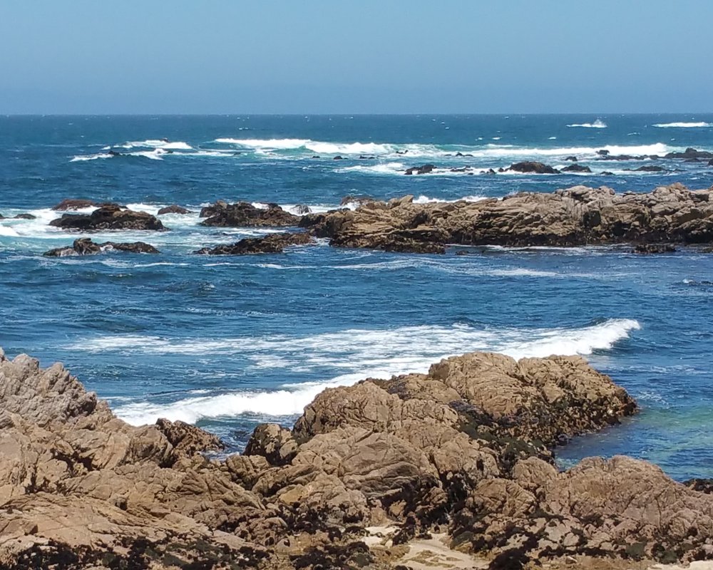 THE 15 BEST Things to Do in Pacific Grove (2024)