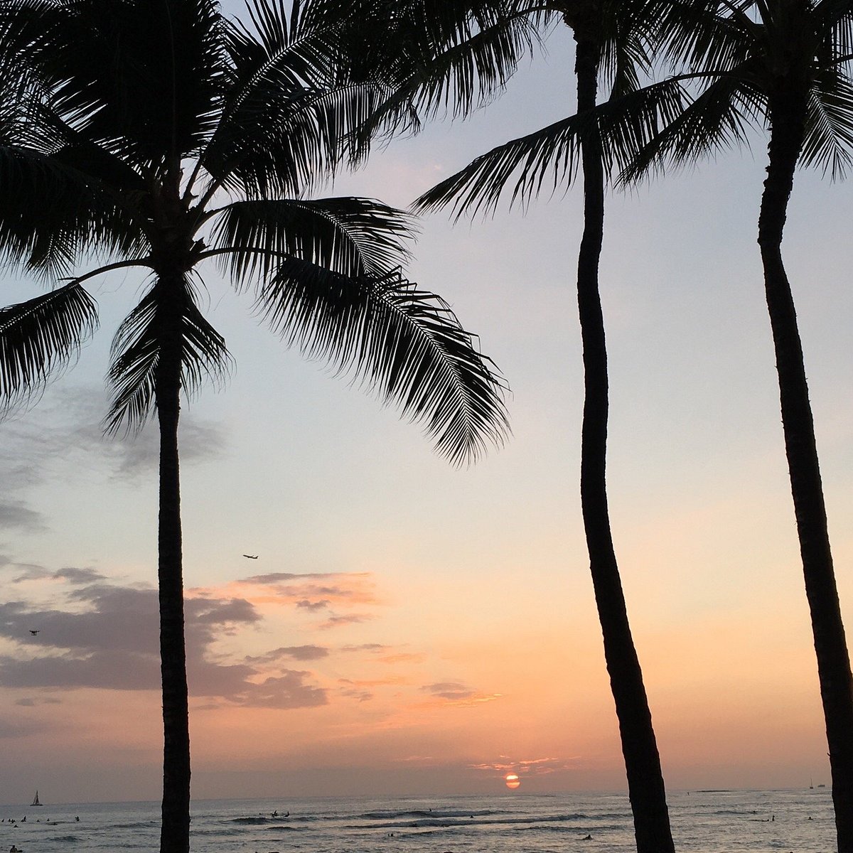 KUHIO BEACH HULA SHOW (Honolulu) 2023 What to Know BEFORE You Go