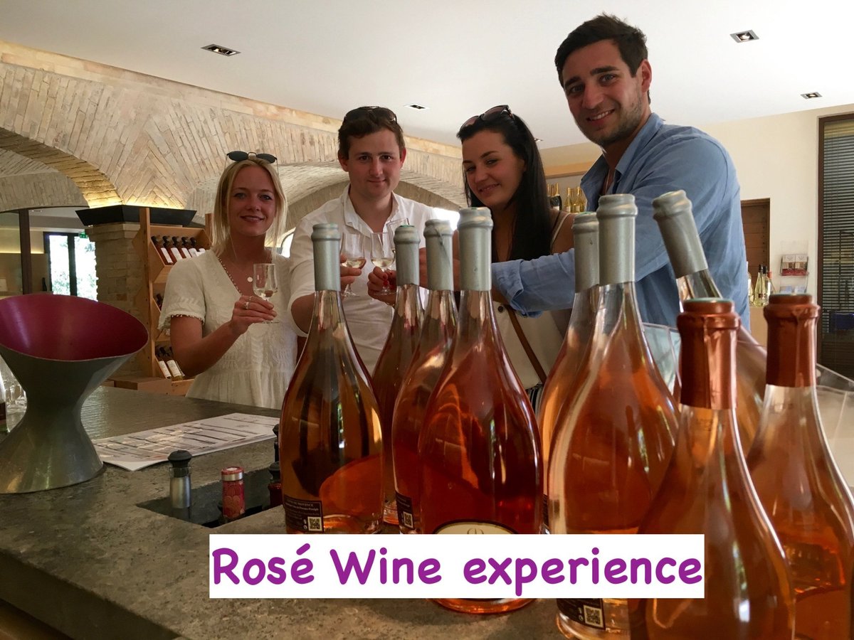 Wine Tours Provence & Riviera - All You Need to Know BEFORE You Go (2024)