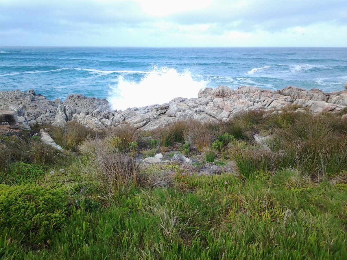 KWAAIWATER (Hermanus) - All You Need to Know BEFORE You Go