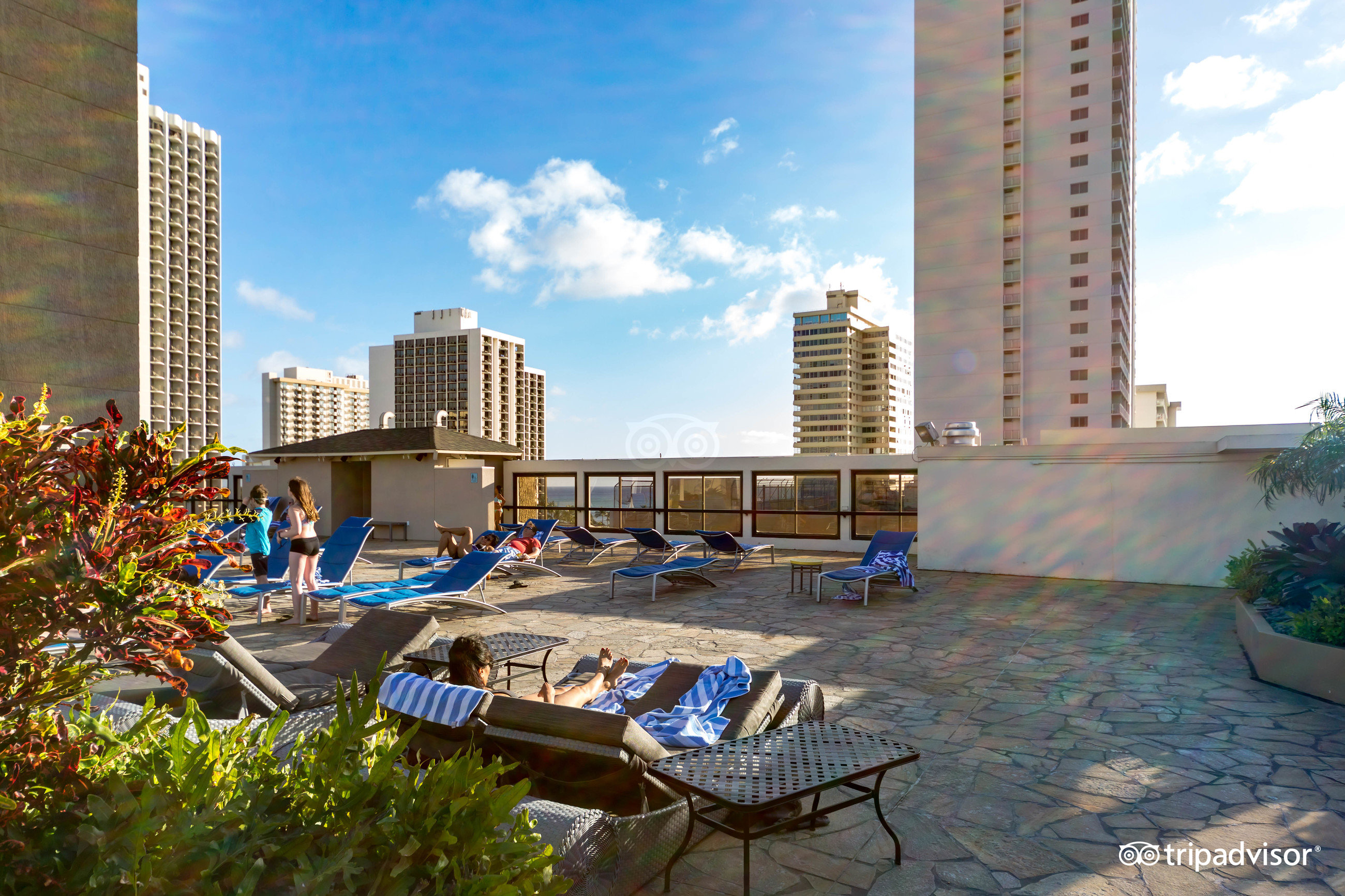 Hilton Waikiki Beach Pool Pictures & Reviews - Tripadvisor