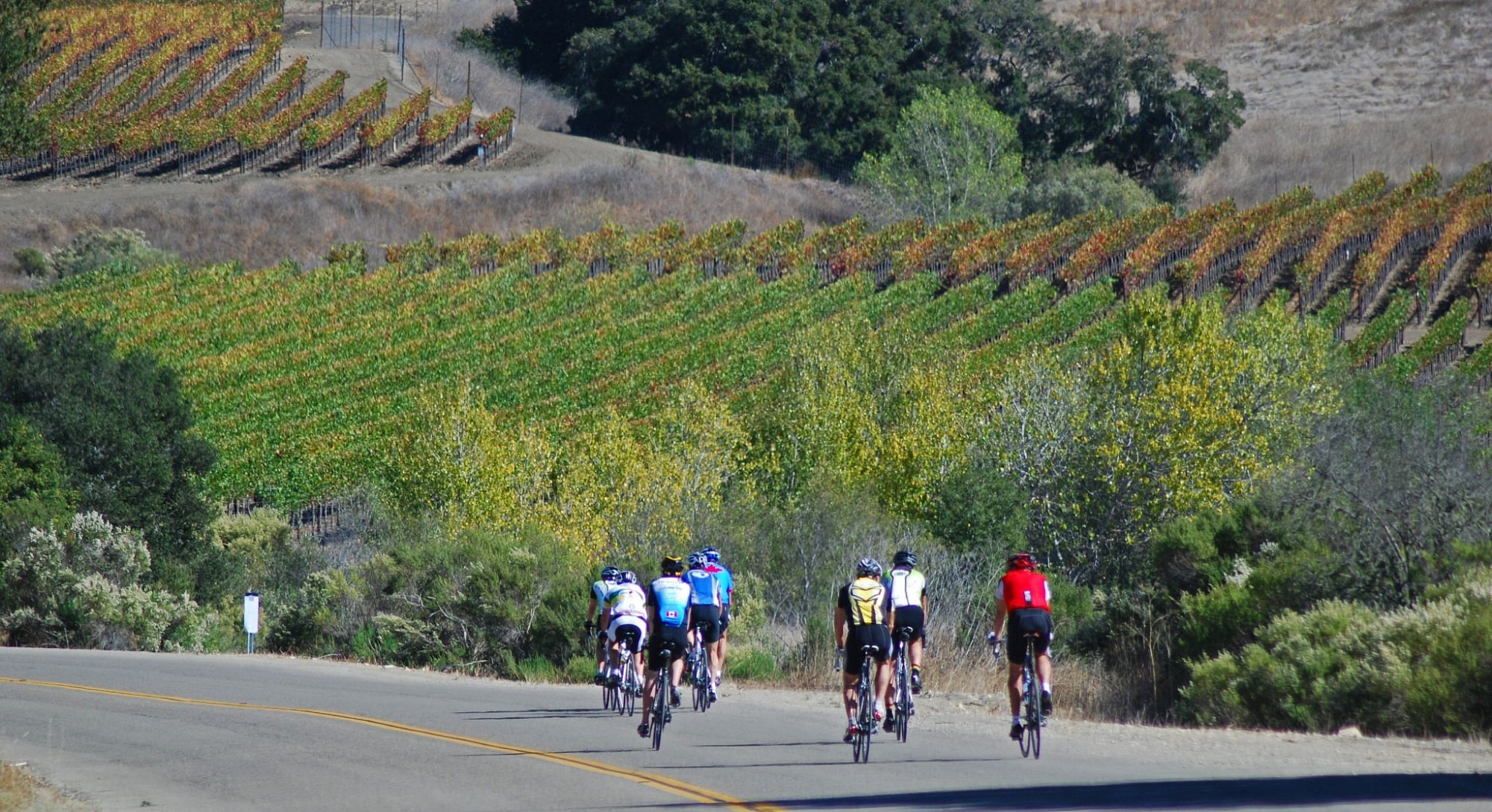 santa barbara wine cycling tours