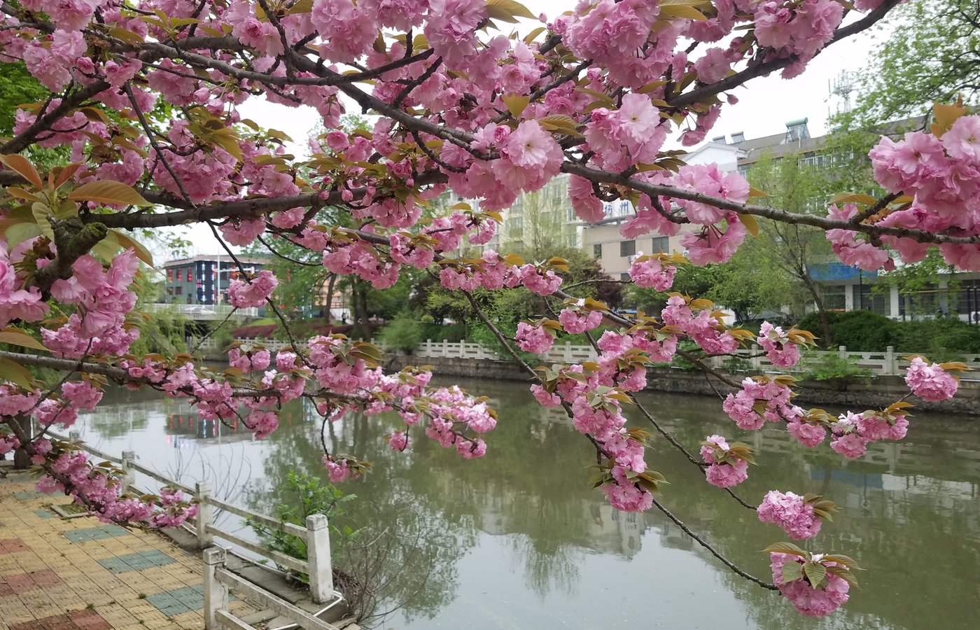 Yizheng, China Tourismus in Yizheng Tripadvisor