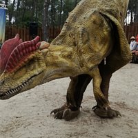 Dinosaures Parc