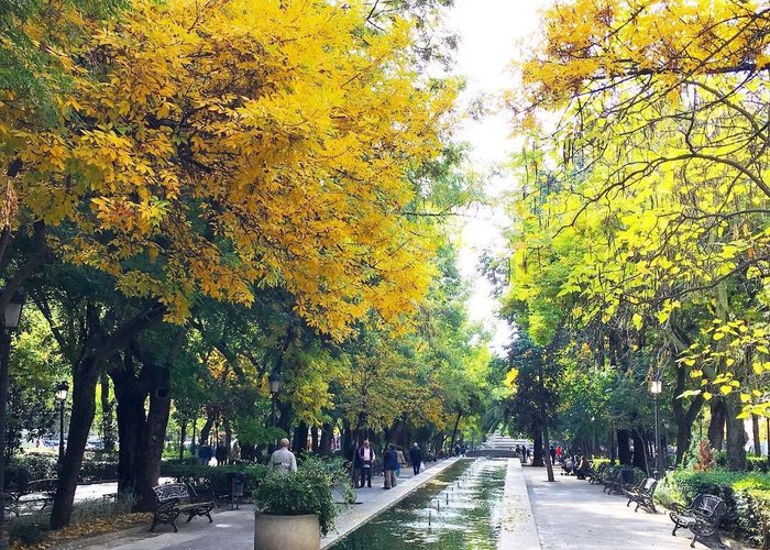 las fuentes del paseo
