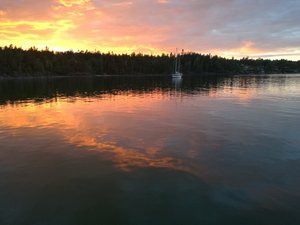 Svit och rum