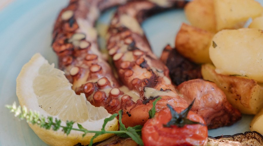 Grilled Octopus